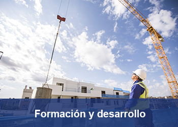 Enlace a Formación y desarrollo (Se abre en nueva pestaña)