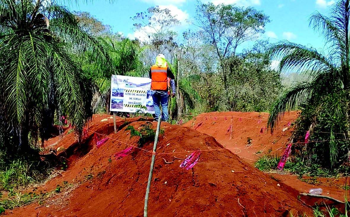 Trabajos del Programa de Conservación y Restauración de Suelos durante el proyecto