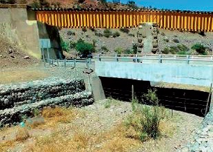 A section of the riverbed colonised by bushes, which shows that there has been no flow of water A section of the riverbed colonised by bushes, which shows that there has been no flow of water