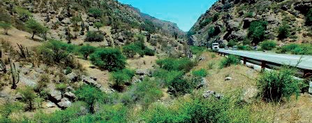 A photograph showing the landscape around Las Chilcas, the habitat of Bufo spinulosus A photograph showing the landscape around Las Chilcas, the habitat of Bufo spinulosus